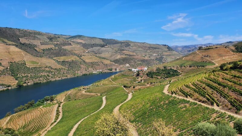 From Porto Day Douro Valley Wine Tour 2 Wine Tasting & Lunch - Analyzing the Value
