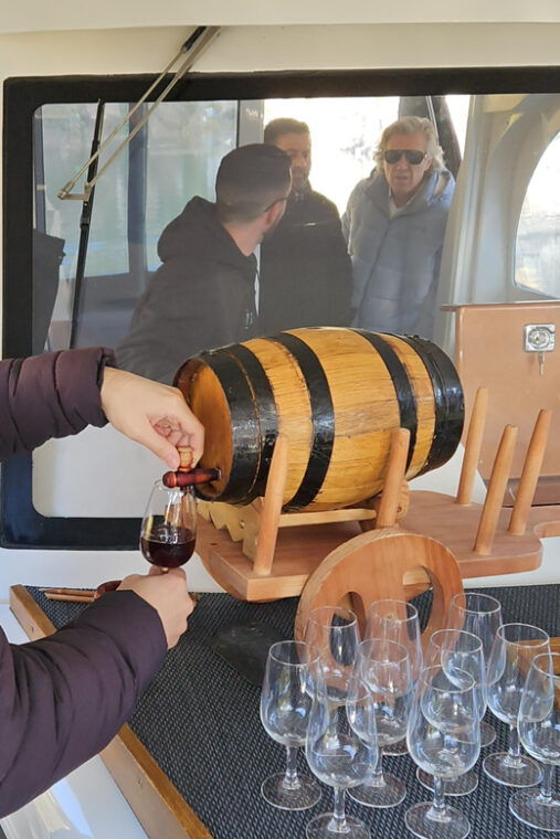 from-porto-day-douro-valley-wine-tour-2-wine-tasting-lunch