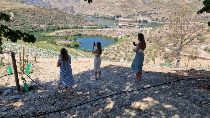 from-porto-day-douro-valley-wine-tour-2-wineries-lunch
