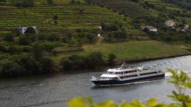 from-porto-douro-river-cruise-winery-visit-lunch