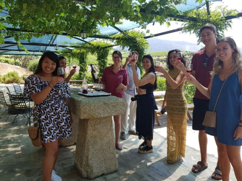 from-porto-douro-valley-3-vineyards-tour-with-lunch