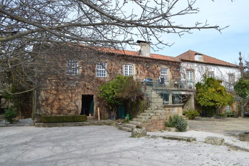 from-porto-douro-valley-3-vineyards-tour-with-lunch