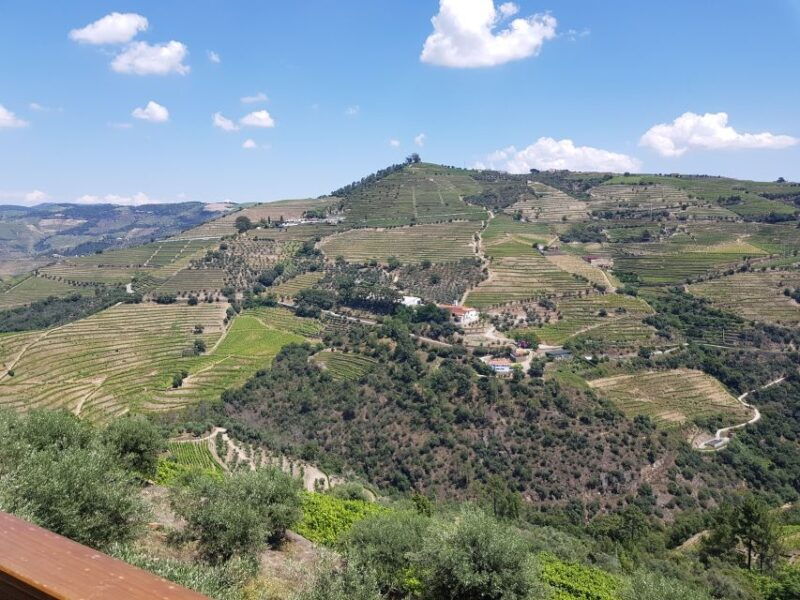 from-porto-douro-valley-3-vineyards-tour-with-lunch