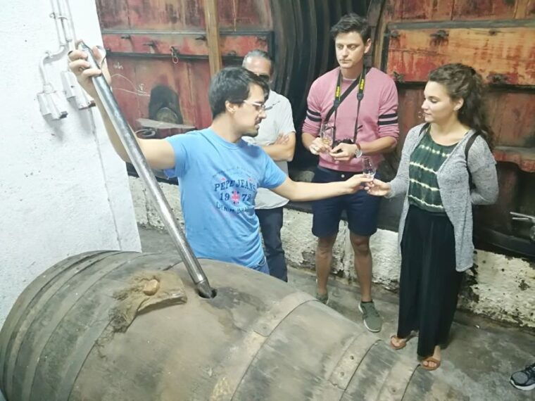 from-porto-douro-valley-3-vineyards-tour-with-lunch