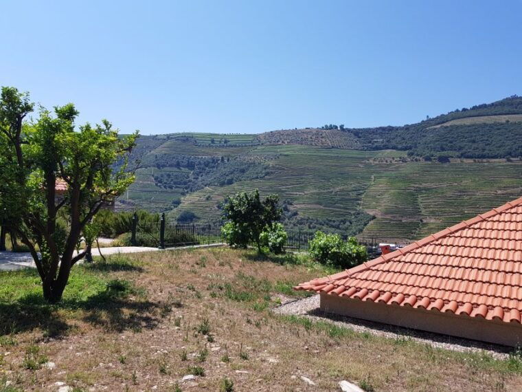 from-porto-douro-valley-3-vineyards-tour-with-lunch