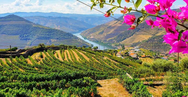 from-porto-douro-valley-and-amarante-small-group-wine-tour