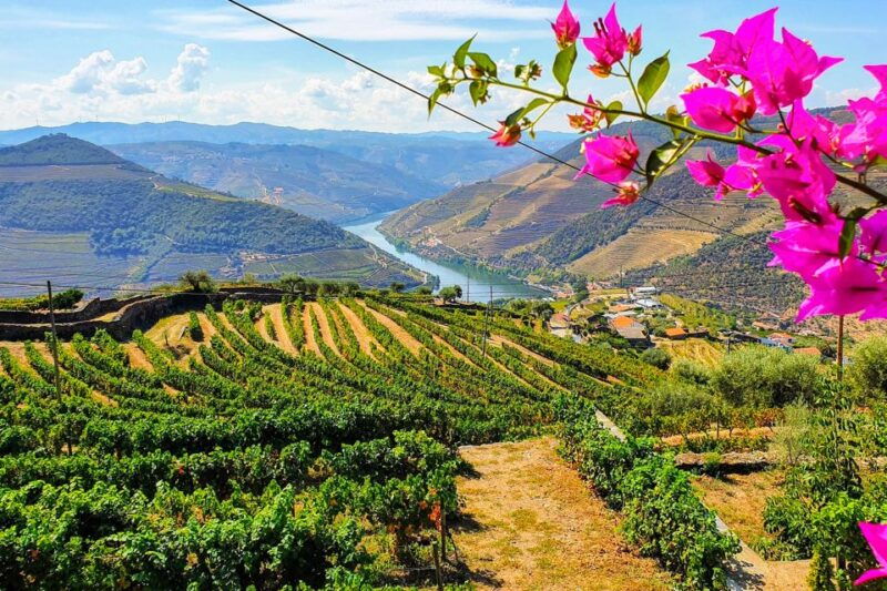 from-porto-douro-valley-and-amarante-small-group-wine-tour