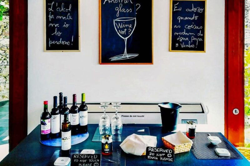 from-porto-douro-valley-and-amarante-small-group-wine-tour