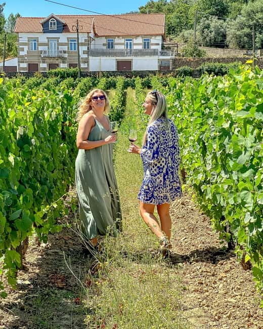 From Porto: Douro Valley Private Tour w/ 3 Wineries & Lunch - Exploring the Douro Valley from Porto: A Detailed Review of the Private Tour with 3 Wineries and Lunch