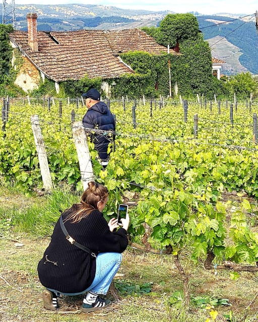 from-porto-douro-valley-tour-2-wineries-lunch-cruise