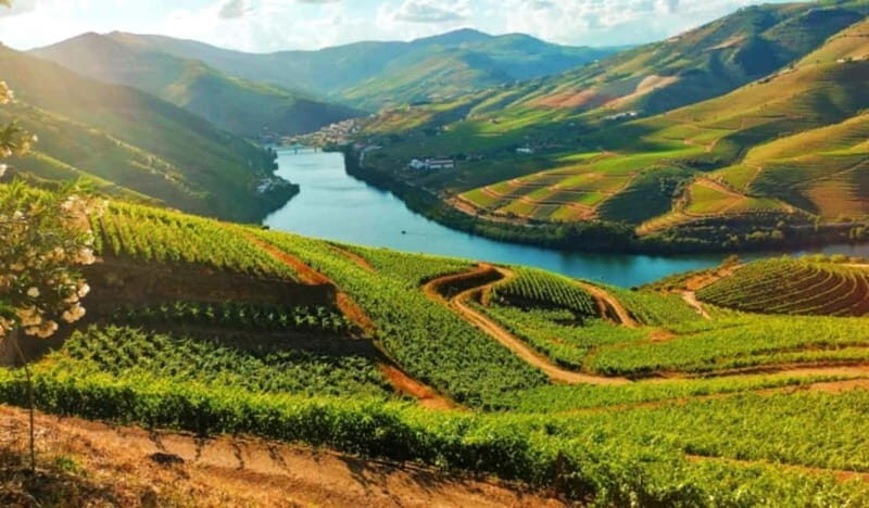 From Porto: Douro Valley Tour - Practical Details & Considerations