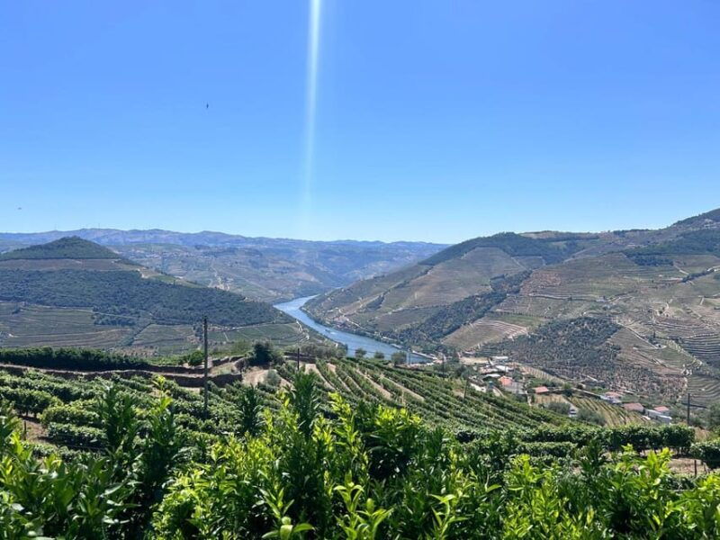 from-porto-douro-valley-tour-with-3-wineries-lunch