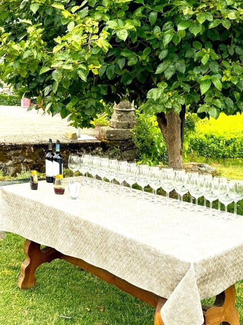 from-porto-douro-valley-tour-with-3-wineries-lunch