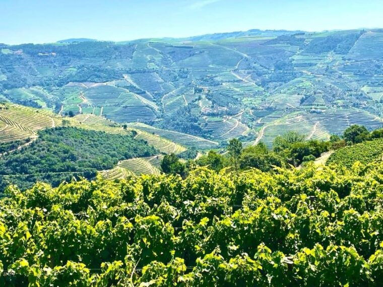 from-porto-douro-valley-tour-with-3-wineries-lunch