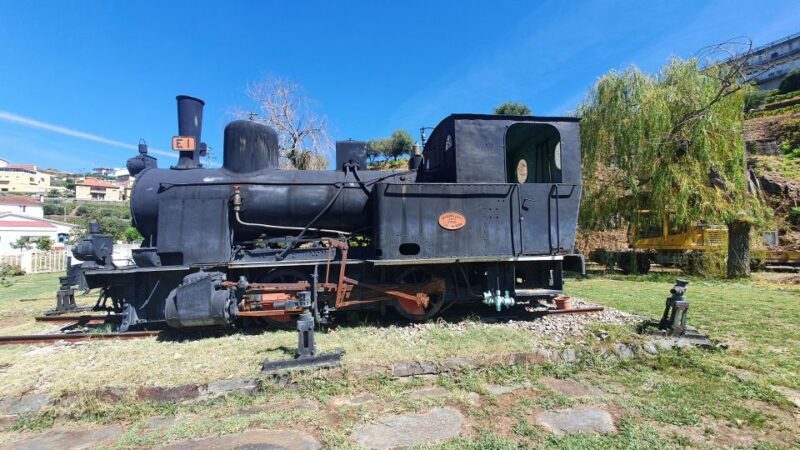 From Porto Douro Valley Tour with Train and Vinho Verde - What Travelers Loved and Noticed