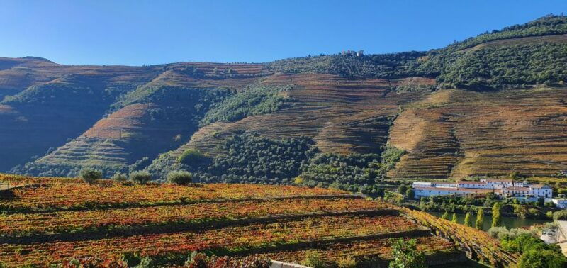 from-porto-douro-valley-tour-with-train-and-vinho-verde
