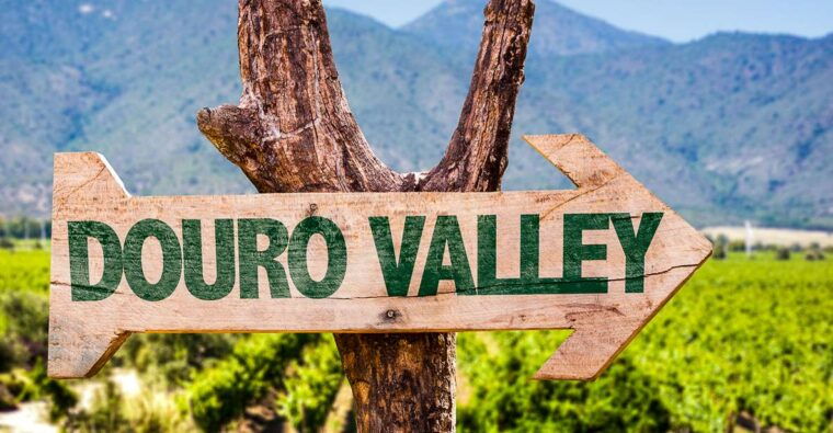 from-porto-douro-valley-w-boat-tour-wine-tasting-lunch