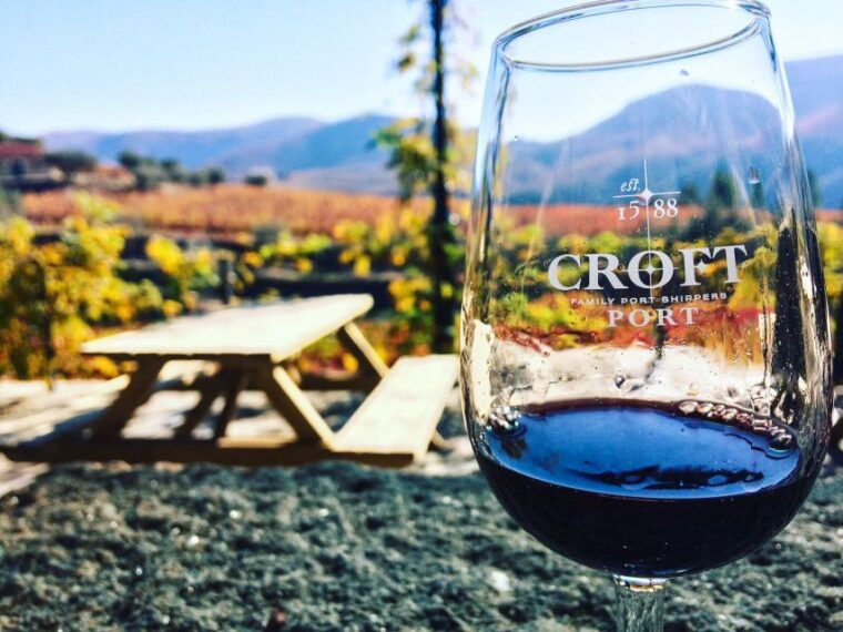 from-porto-douro-valley-w-boat-tour-wine-tasting-lunch