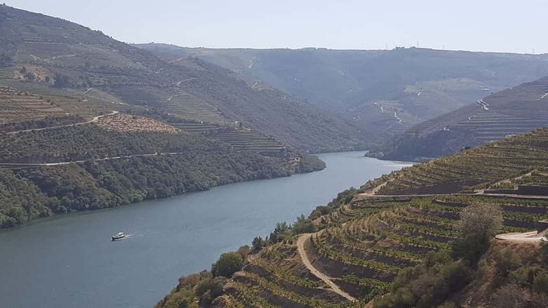 From Porto: Douro Valley Wine Tasting Tour With Hotel Pickup - Who Is This Trip Best For?