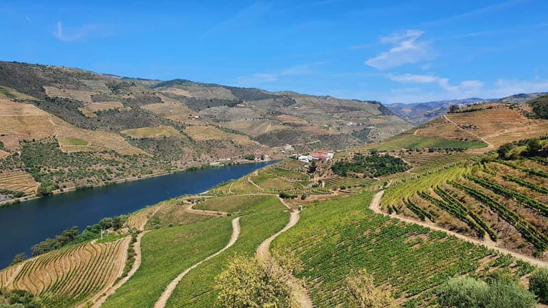From Porto: Douro Valley Wine Tasting Tour With Hotel Pickup - Exploring the Douro Valley: What to Expect from the Tour