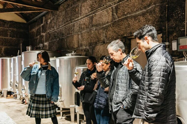 from-porto-douro-valley-wine-tour-with-lunch-and-cruise