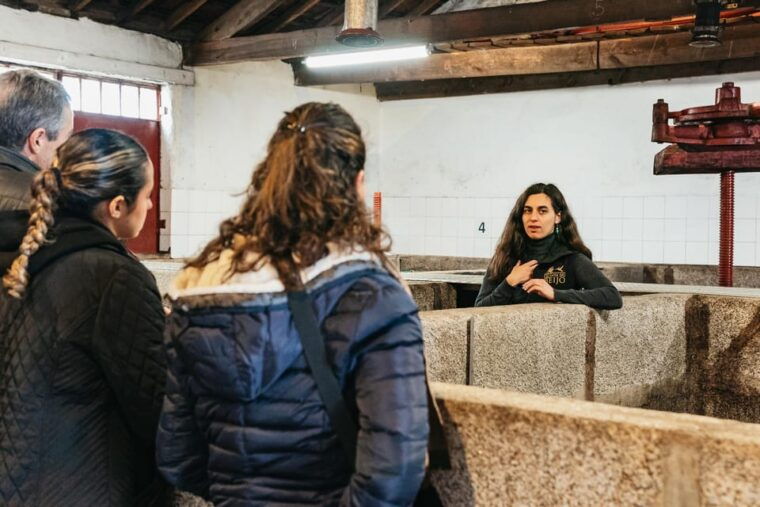 from-porto-douro-valley-wine-tour-with-lunch-and-cruise