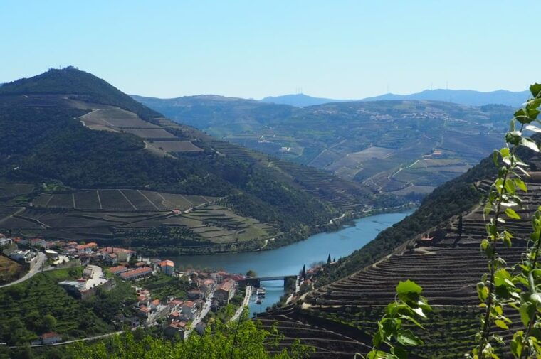 from-porto-douro-valley-wine-tour-with-river-cruise-lunch