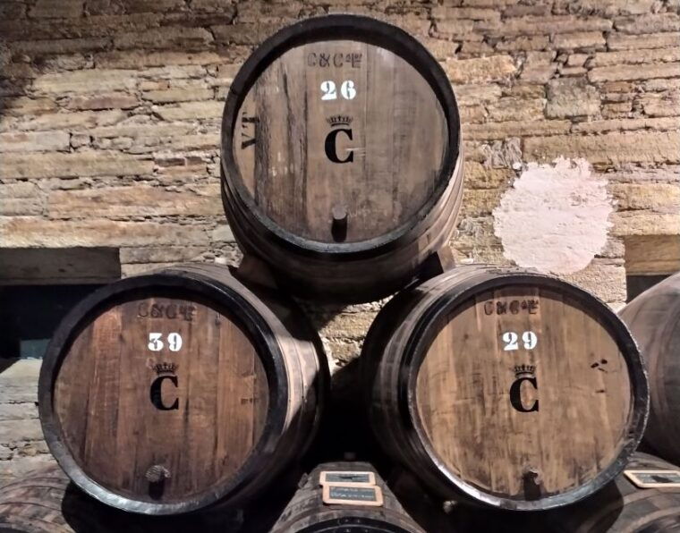 from-porto-douro-valley-wine-tour-with-river-cruise-lunch