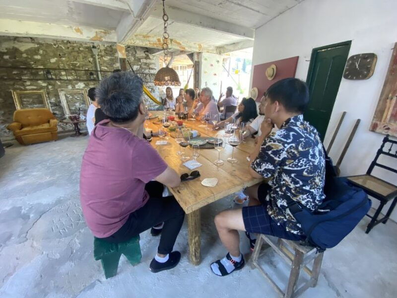 from-porto-douro-valley-wineries-boat-tour-with-lunch