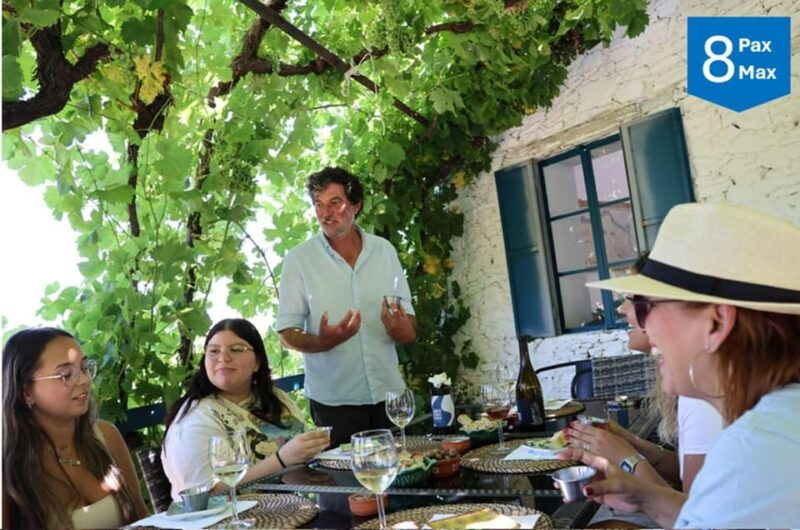 from-porto-douro-valley-wineries-boat-tour-with-lunch