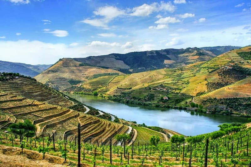 From Porto: Douro Valley with Wineries, Lunch and Boat Trip - A Complete Overview of the Douro Valley Day Trip