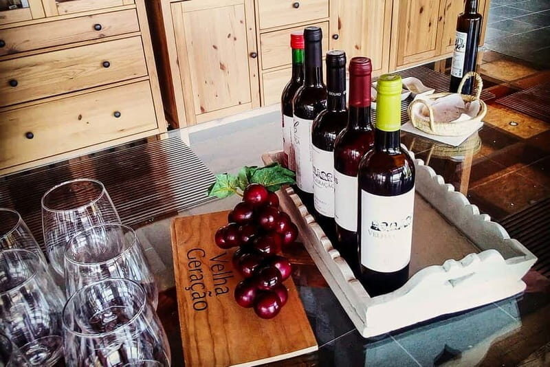 From Porto: Douro Valley with Wineries, Lunch and Boat Trip - What Could Be Better?