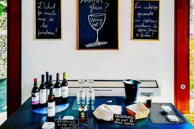 From Porto: Douro Valley with Wineries, Lunch and Boat Trip - Final Thoughts
