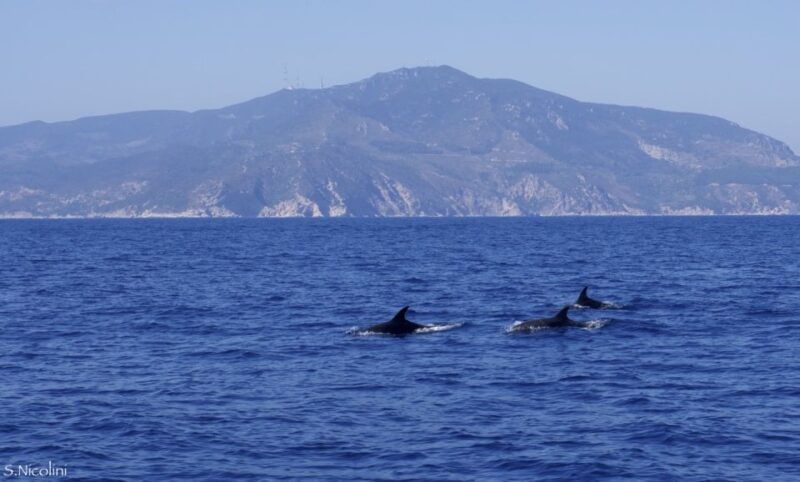 from-porto-ercole-giannutri-island-snorkeling-boat-trip