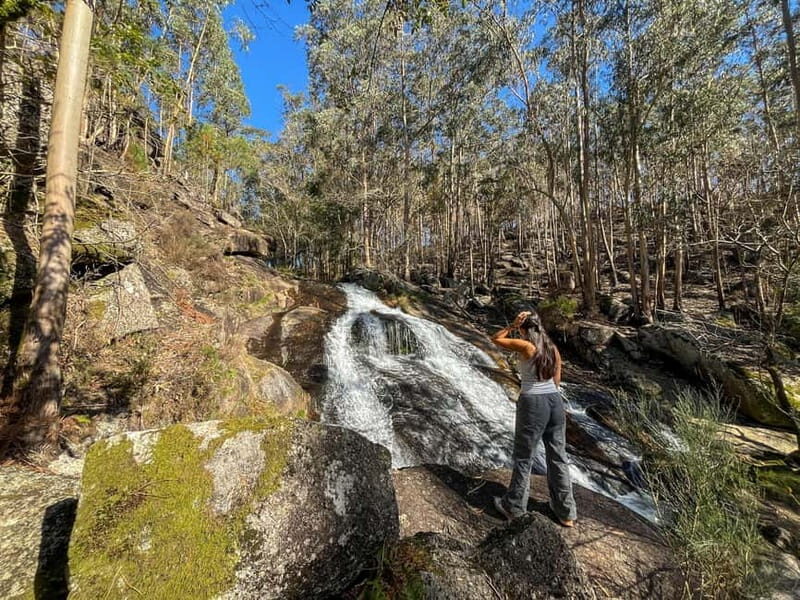 From Porto: Forest Waterfalls & Roman Ruins Trail Tour - Key Points