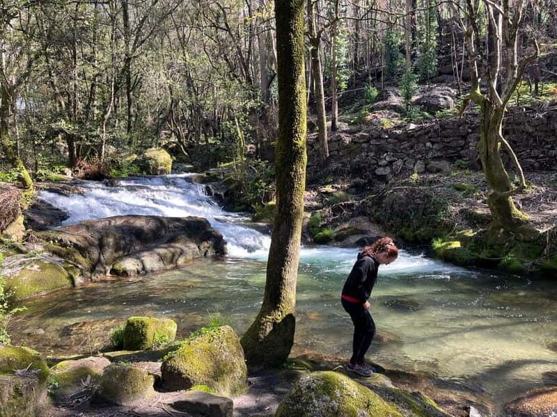 From Porto: Forest Waterfalls & Roman Ruins Trail Tour - Detailed Review of the Experience