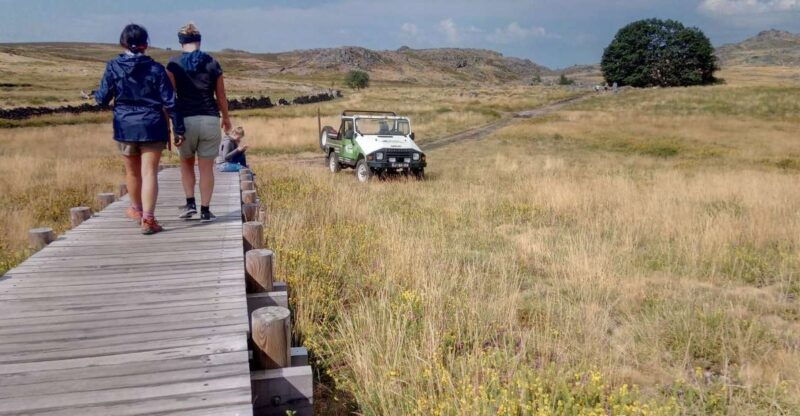 from-porto-freita-mountain-arouca-geopark-jeep-tour