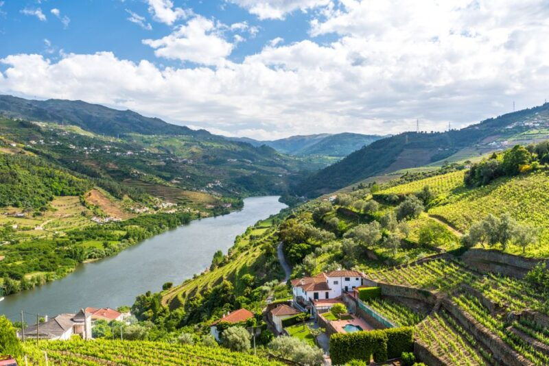 from-porto-full-day-douro-historical-tour