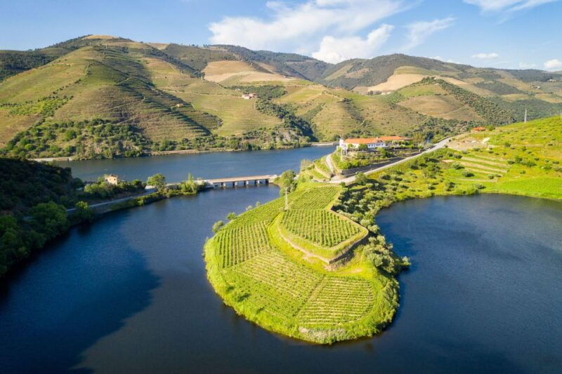 from-porto-full-day-douro-valley-trip