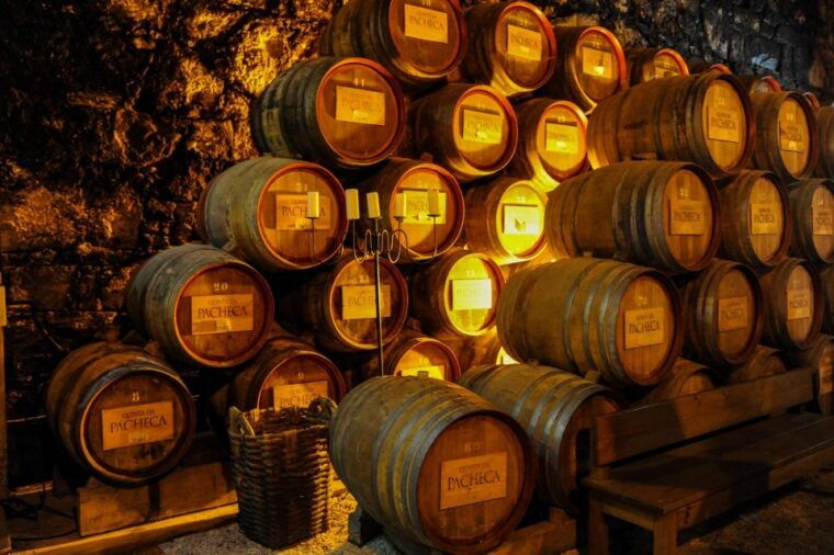 from-porto-full-day-douro-valley-trip