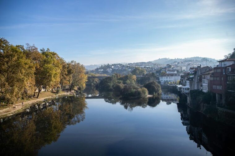 from-porto-full-day-douro-valley-wine-tour-with-lunch