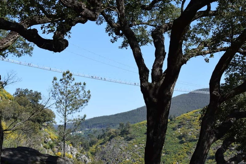 From Porto: Guided Tour of the 516 Arouca Suspension Bridge and Paiva Walkways - Authentic Experiences and Authentic Insights