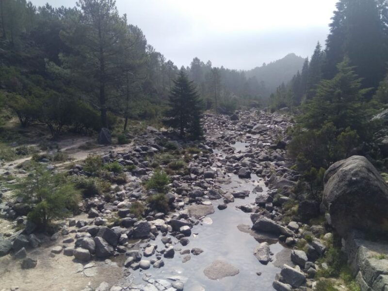 from-porto-guided-tour-to-geres-park