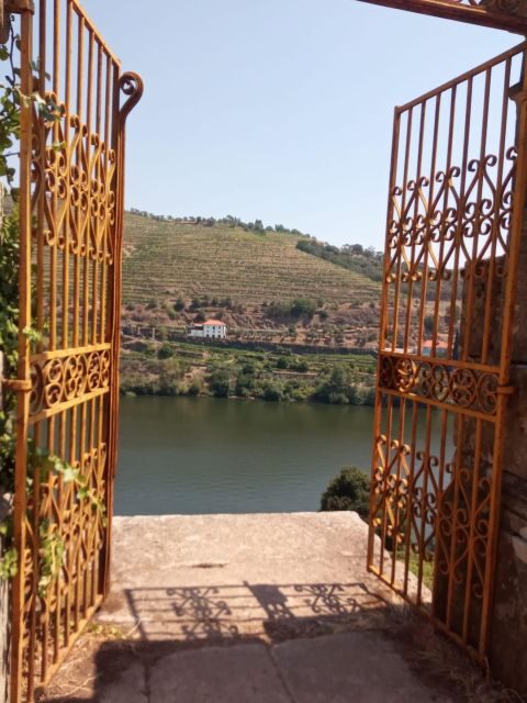 From Porto: luxury tour with full lunch at Quinta da Pacheca - Key Points  