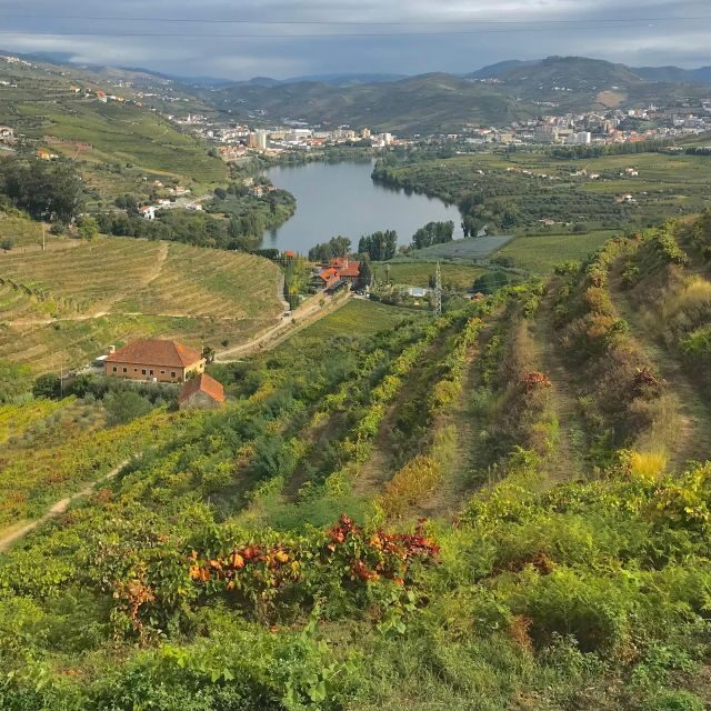 From Porto: luxury tour with full lunch at Quinta da Pacheca - A Closer Look at the Tour Itinerary  