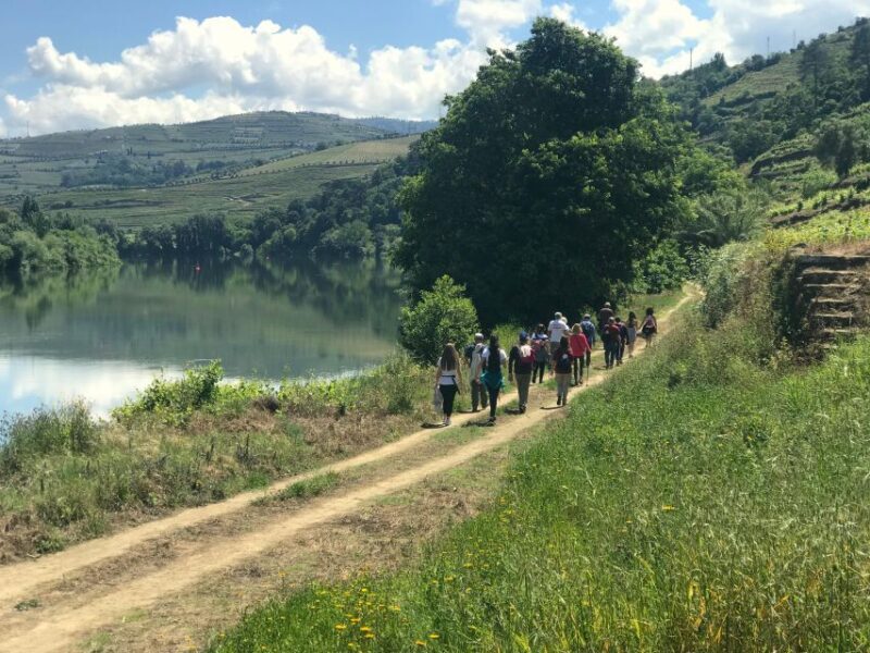 From Porto: luxury tour with full lunch at Quinta da Pacheca - FAQs  