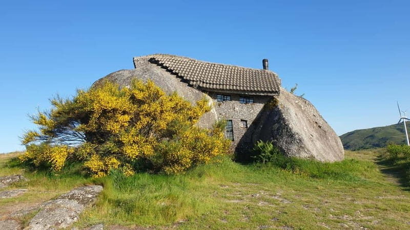 From Porto: Nature and Wine tasting Full-Day Tour - Exploring the Itinerary in Detail