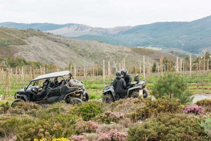From Porto: Off-Road Buggy Adventure - Who Will Love This Adventure?