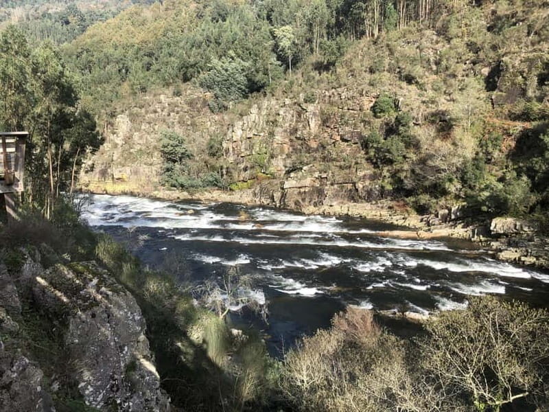 From Porto - Paiva Walkways and Suspension Bridge - Who Will Love This Tour?