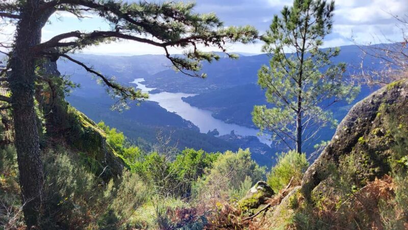 From Porto: Peneda-Gerês National Park Day Trip - Detailed Insights: The Elements that Make This Tour Stand Out